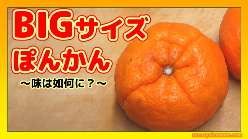 大きいぽんかんの味は？