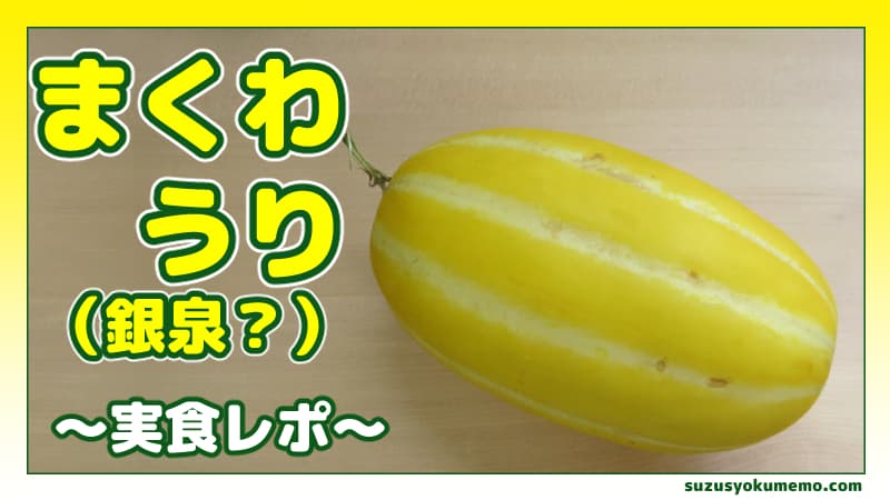 まくわうり（銀泉？）レポ