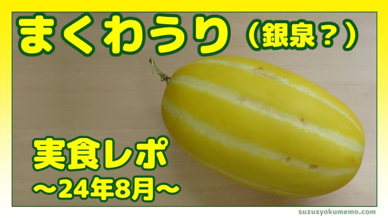 まくわうり（銀泉？）