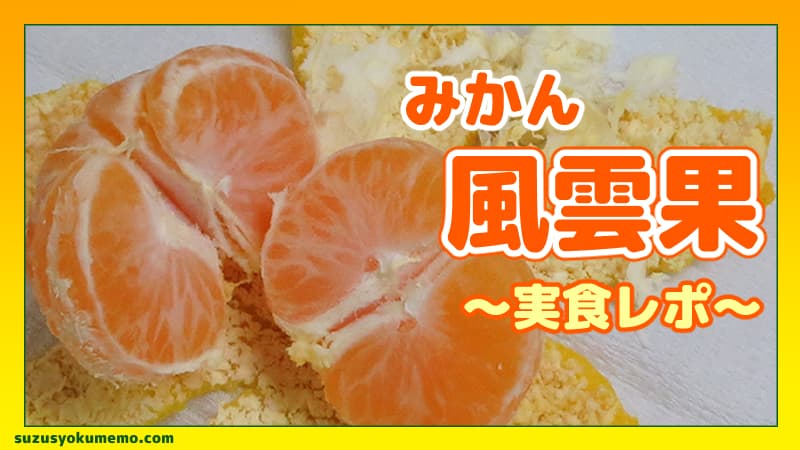 みかん『風雲果』について