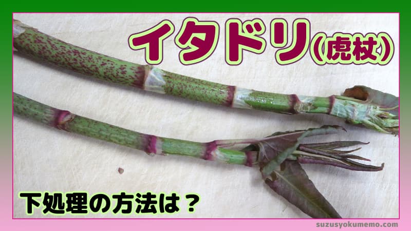 イタドリの下処理法