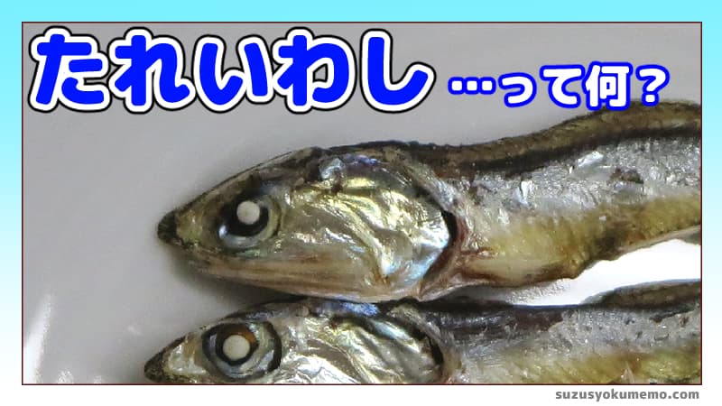 たれいわしって何？