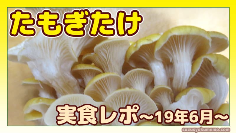 たもぎたけ実食レポ