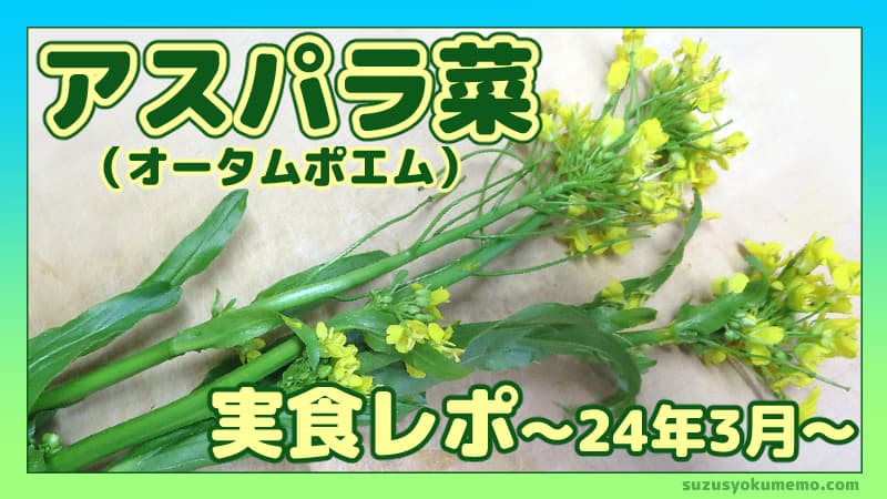 アスパラ菜実食レポ