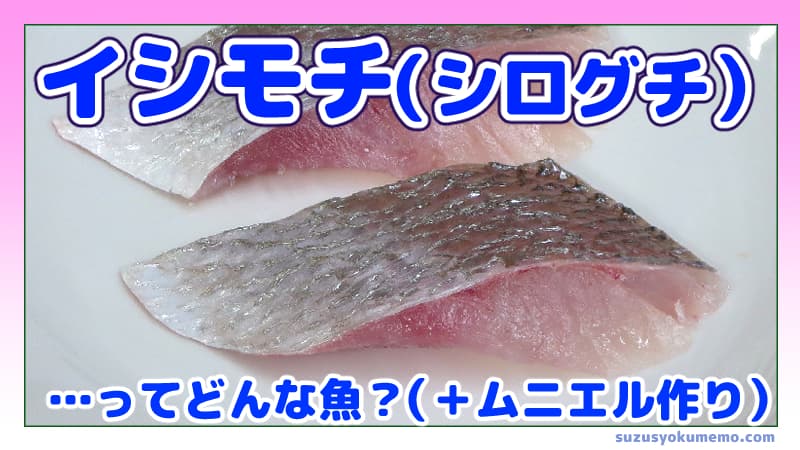 イシモチってどんな魚？