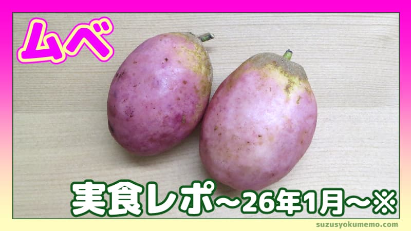 ムベ実食レポ26年1月