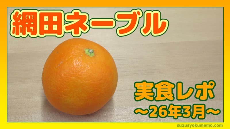 網田ネーブル実食レポ