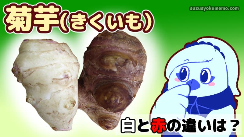 菊芋の白と赤の違いは？
