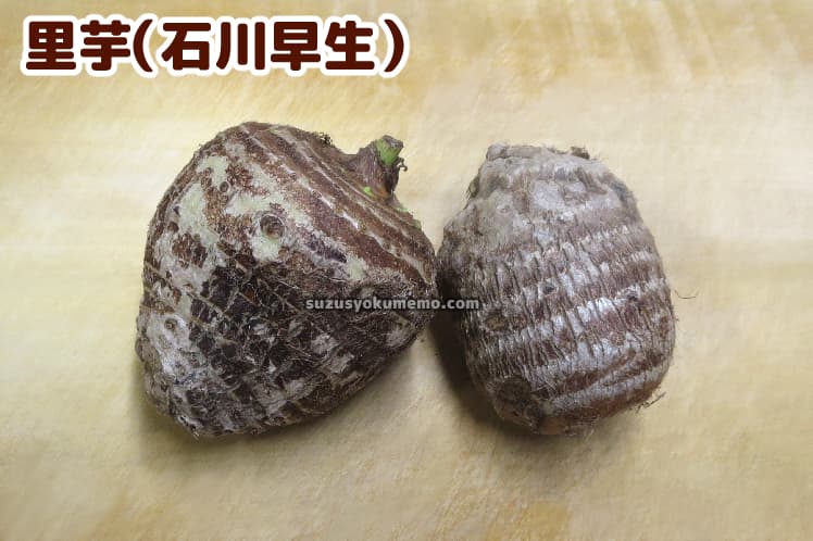 里芋（石川早生）