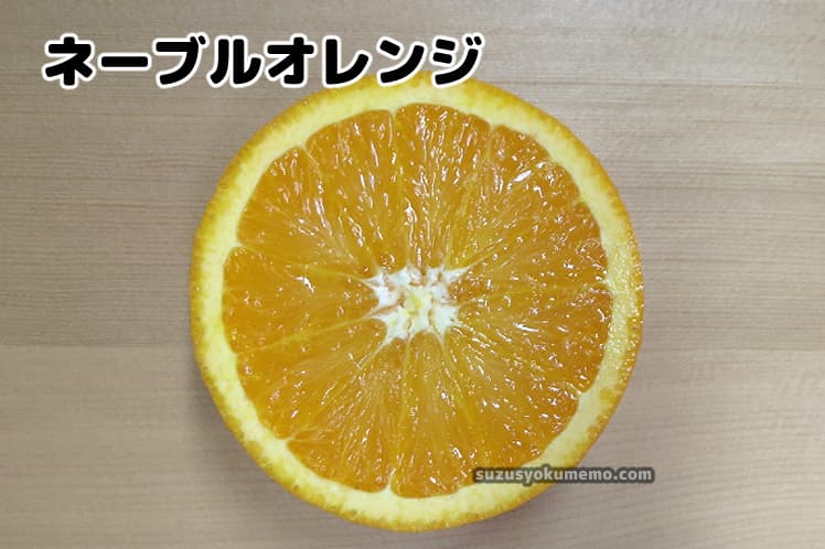 ネーブルオレンジの断面・横切り