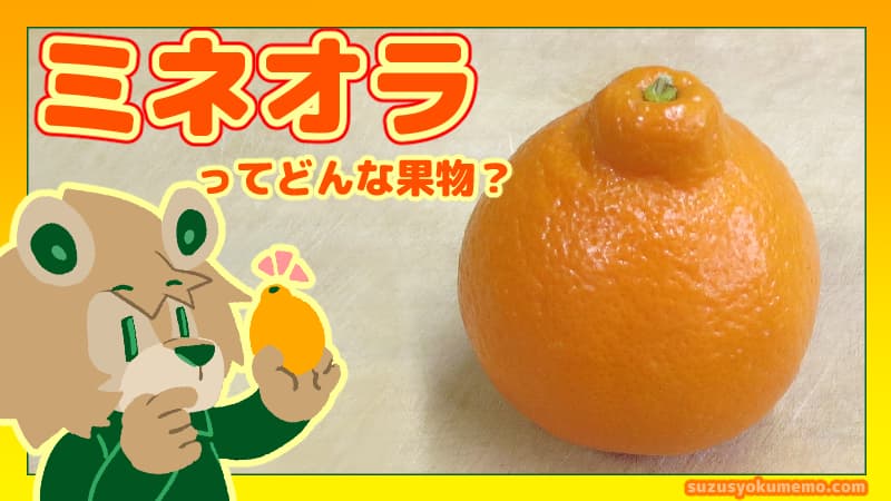 ミネオラってどんな果物？