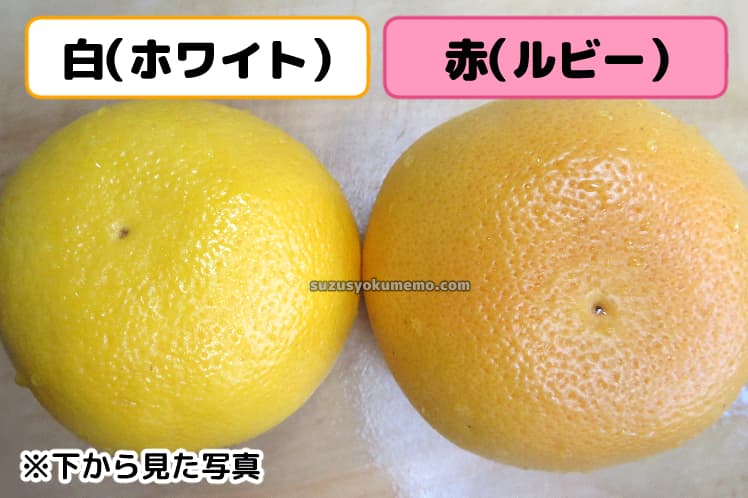 グレープフルーツ・白と赤②