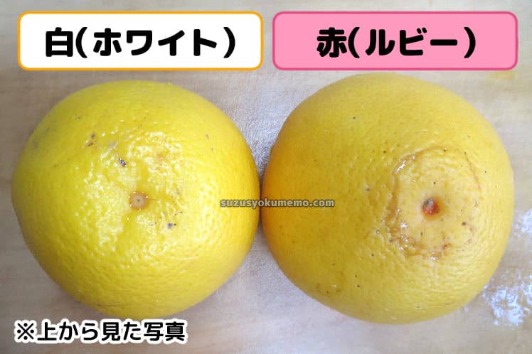 グレープフルーツ・白と赤