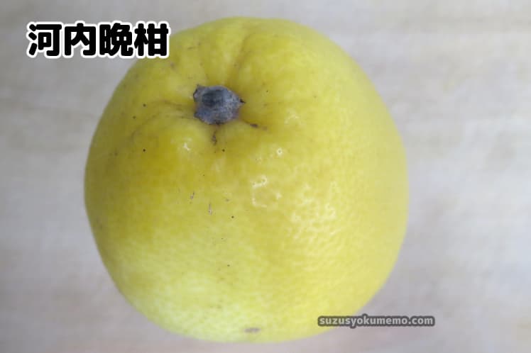 河内晩柑・上から