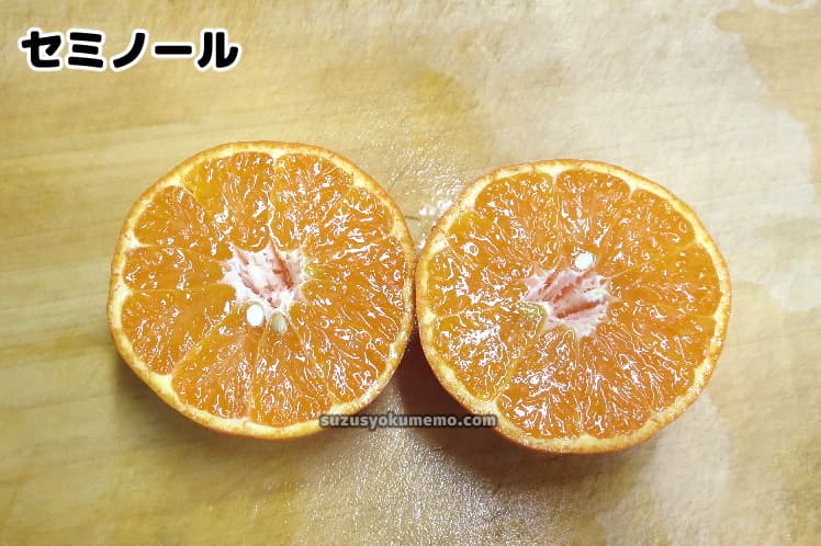 セミノール・断面