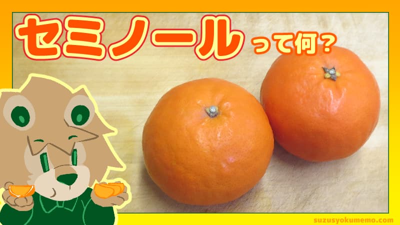 セミノールって何？