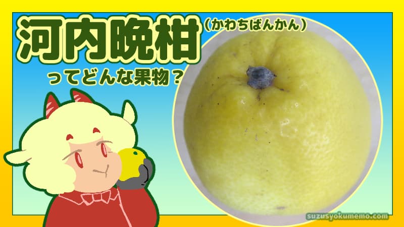 河内晩柑ってどんな果物？