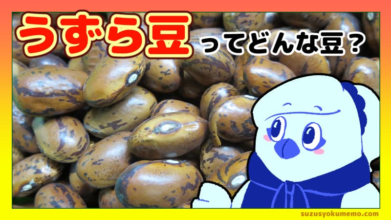 うずら豆