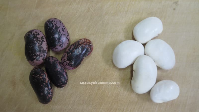 紫花豆と白花豆
