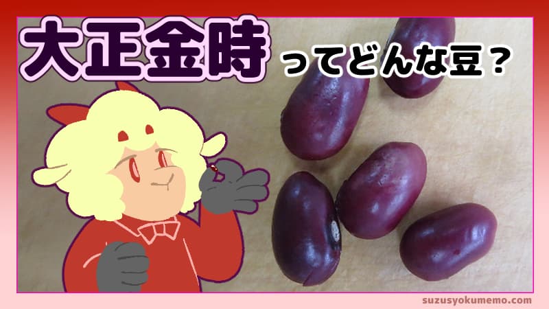 大正金時