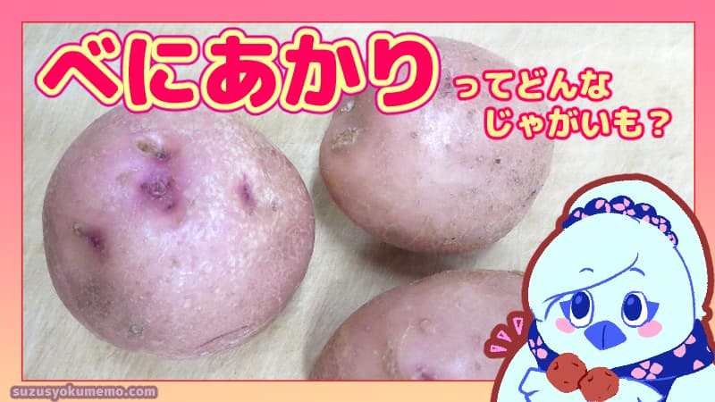べにあかりってどんなじゃがいも？