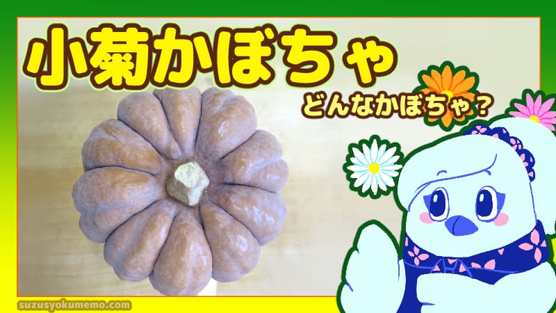 小菊かぼちゃってどんなかぼちゃ？