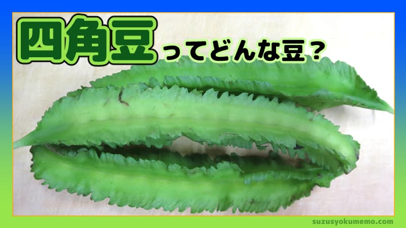 四角豆ってどんな豆？