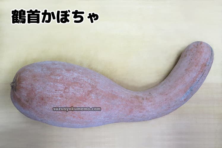 鶴首かぼちゃ・茶色