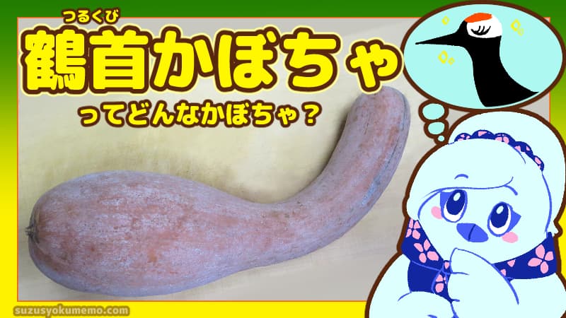 鶴首かぼちゃってどんなかぼちゃ？