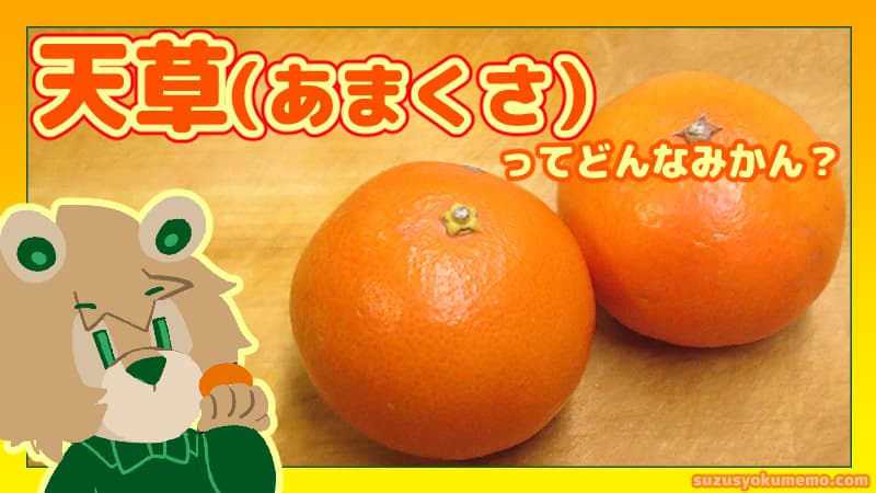 天草ってどんなみかん？