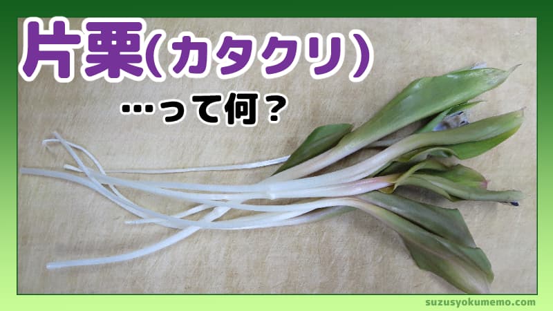 カタクリ
