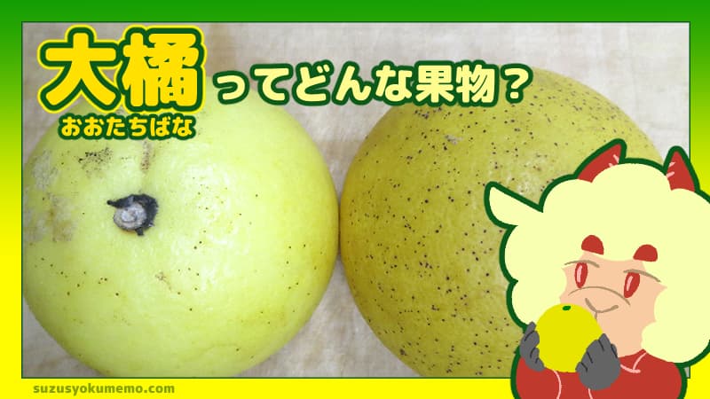 大橘ってどんな果物？