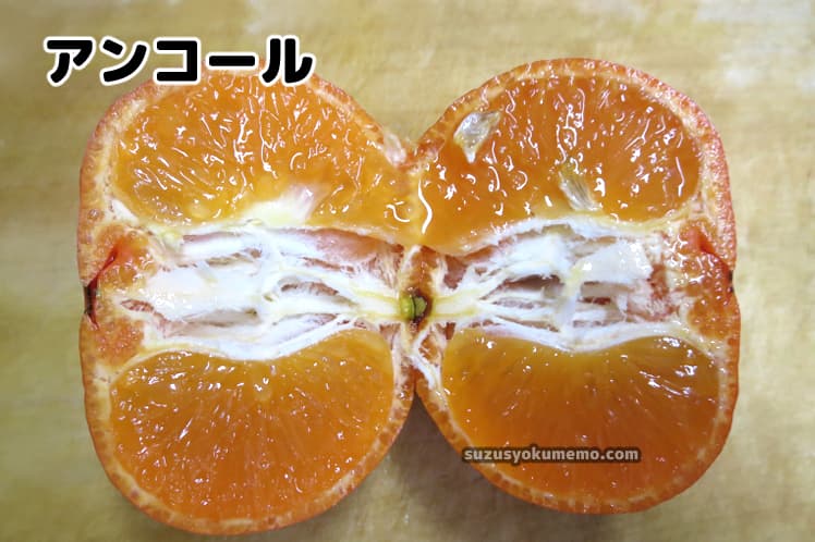 アンコールの断面