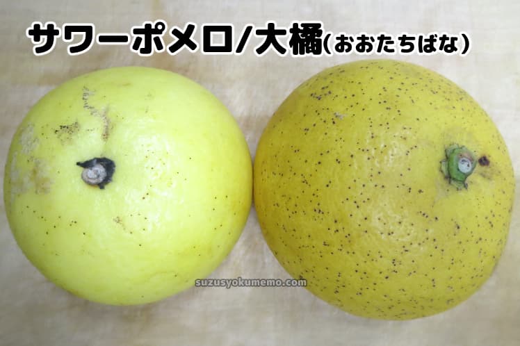 大橘/サワーポメロ・黒い斑点