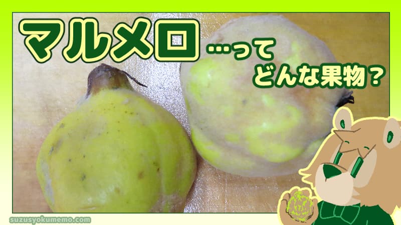 マルメロってどんな果物？