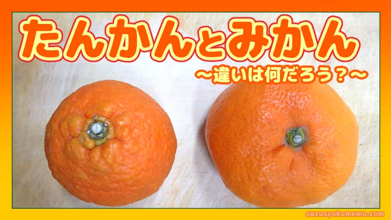 たんかんとみかんの違い