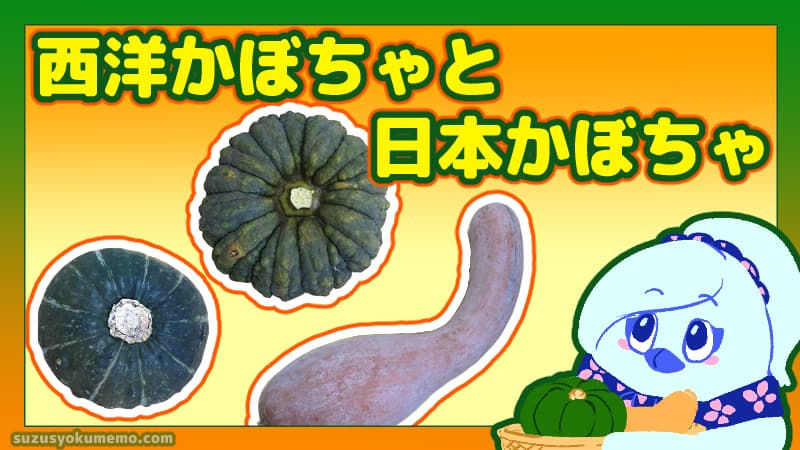 西洋かぼちゃと日本かぼちゃ
