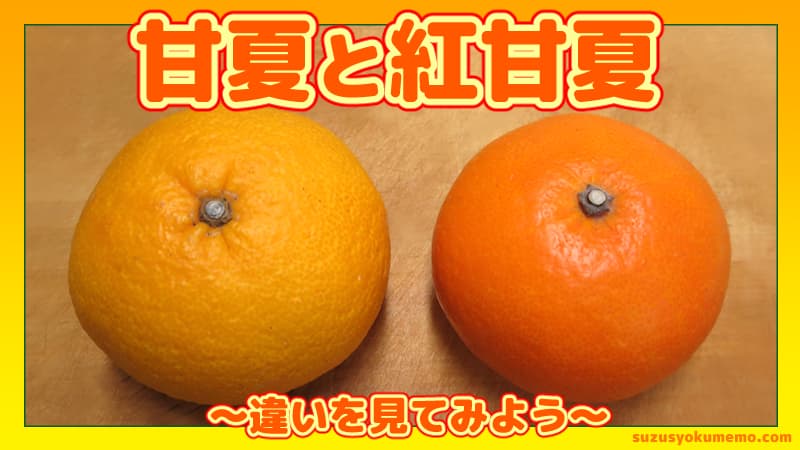 甘夏と紅甘夏の違いをみてみよう