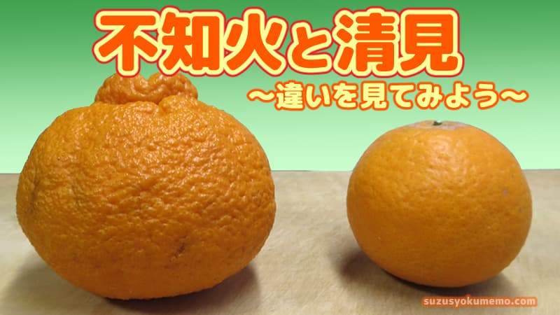 不知火と清見の違い