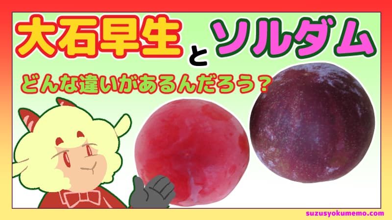 大石早生とソルダムの違いは？