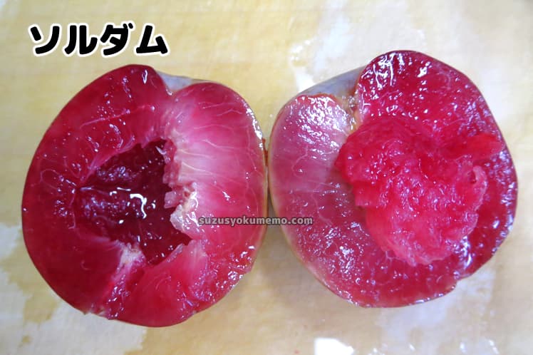 ソルダム・断面