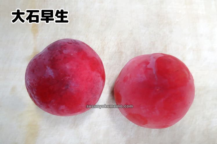 大石早生