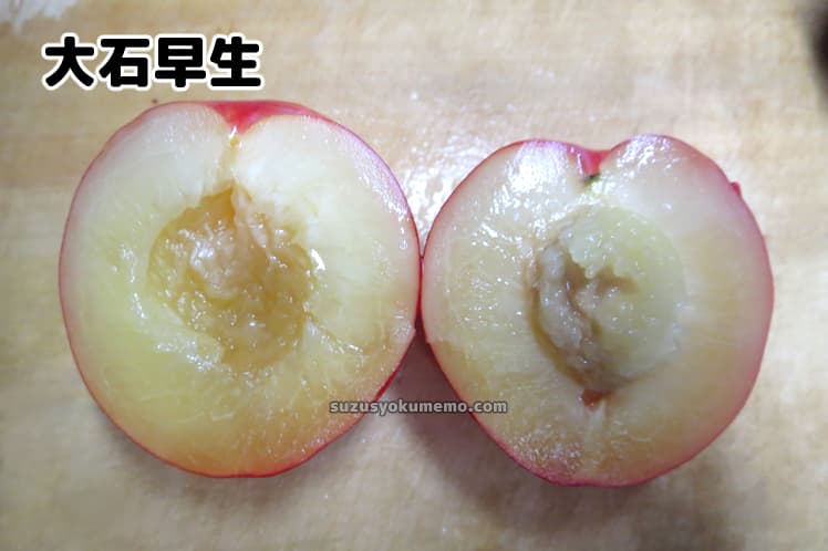 大石早生・断面