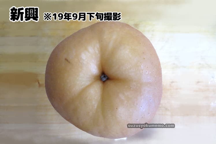 新興（茶色）