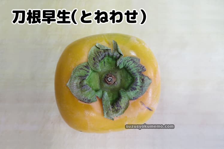 刀根早生（とねわせ）柿