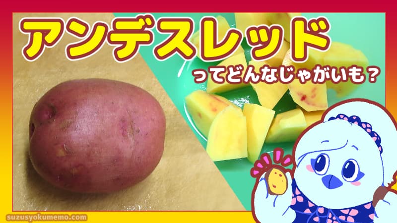 アンデスレッドってどんなじゃがいも？