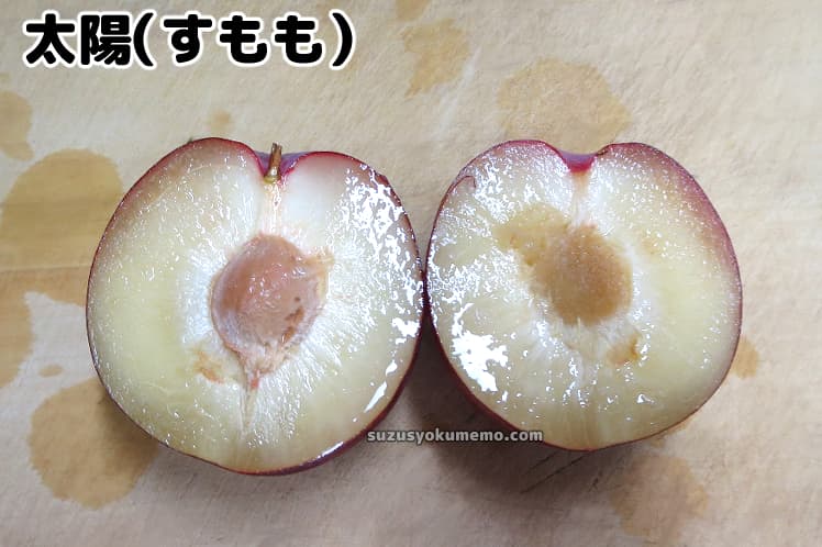 太陽すもも・断面