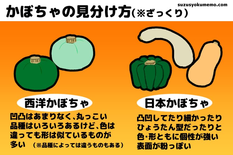 西洋かぼちゃと日本かぼちゃの見た目での見分け方