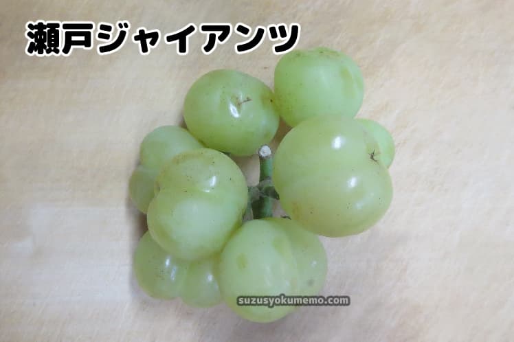 瀬戸ジャイアンツ