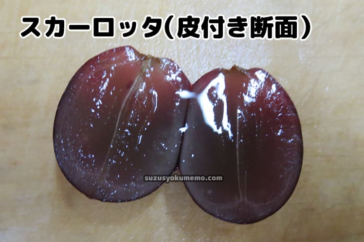 スカーロッタ(ぶどう)皮付き断面